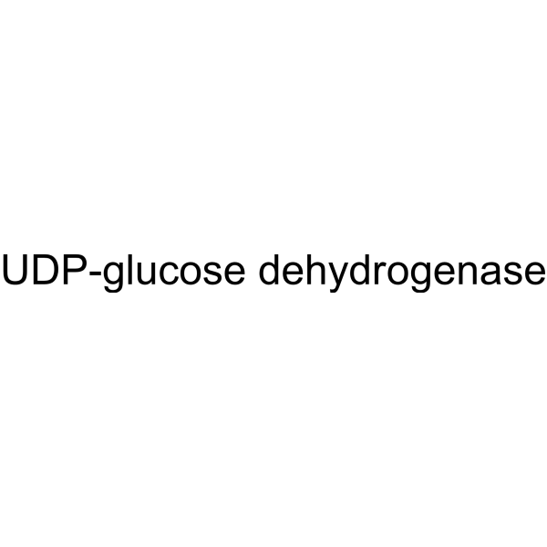 UDP-glucose dehydrogenase 9028-26-6